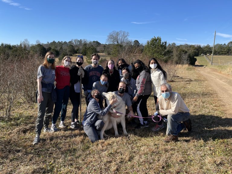 Students volunteering